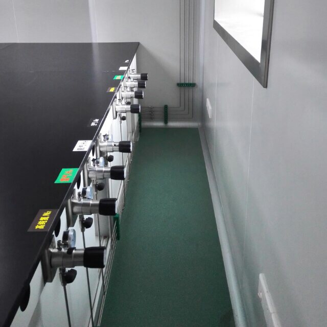 通用生物(wu)系統(安徽(hui))有限公司(sī)實驗室集(jí)中供氣工(gong)程